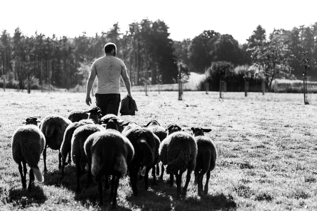 Agriculture bio, Chaumont-Gistoux