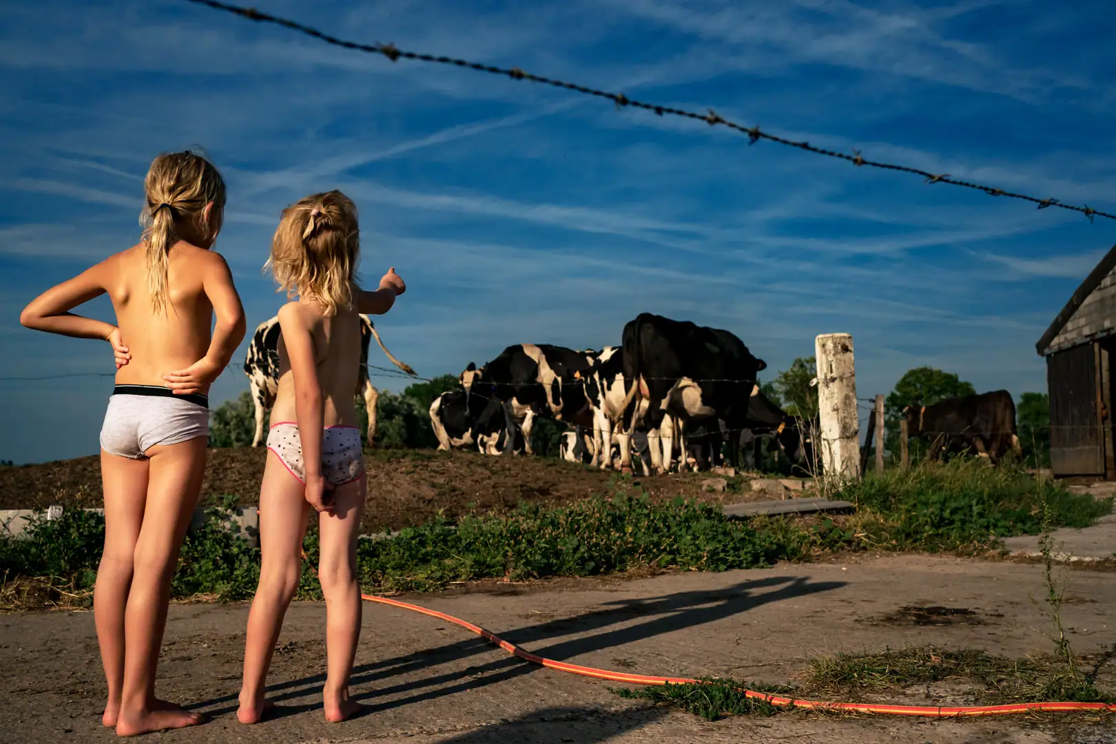 Deux petite filles en maillot au bord d'une pâture montrant du doigt un groupe de vaches.